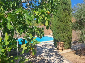 La vigne est belle Pisicne-Wifi